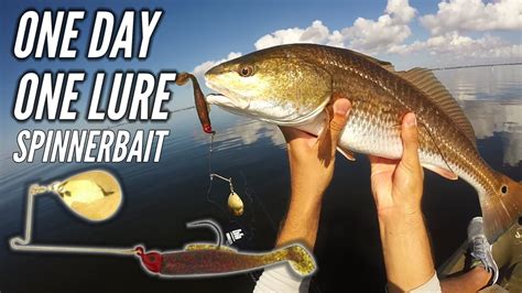 The History and Evolution of the Refish Magic Spinnerbait